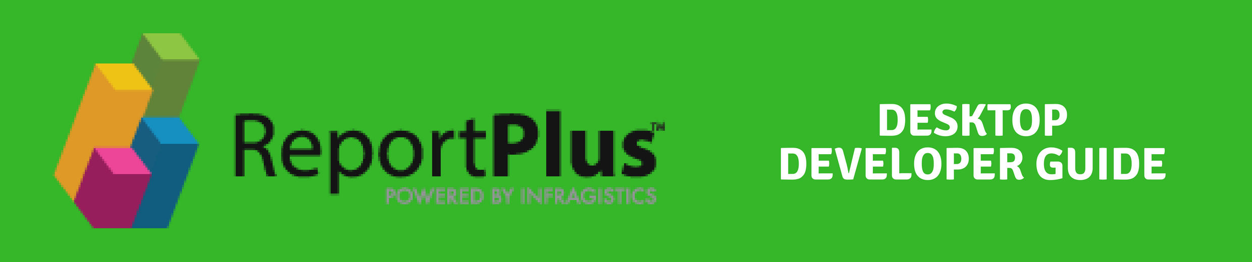 ReportPlus Desktop Developer Guide