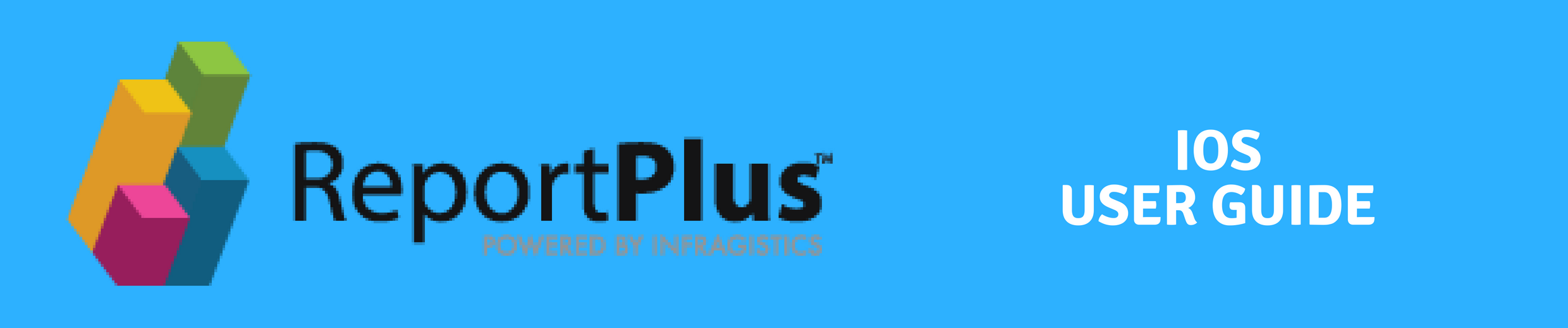ReportPlus iOS User Guide