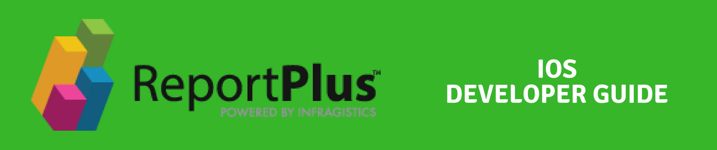 ReportPlus iOS Developer Guide