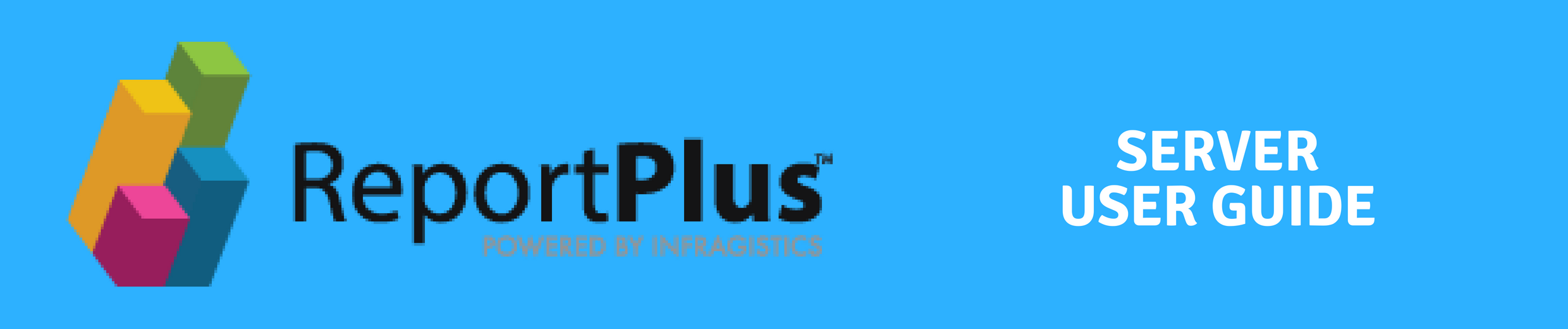 ReportPlus Server User Guide