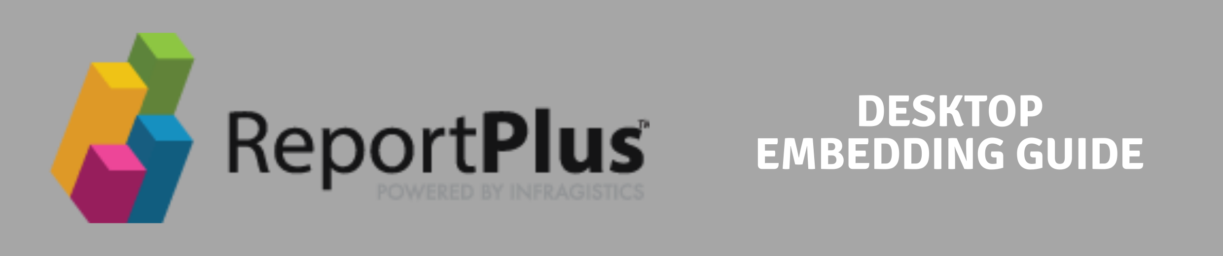 ReportPlus Desktop Embedding Guide